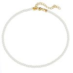 Collier Ras De Cou En Perle De Nacre Blanche Avec Cygne - Coquillages Colorés, Neuf