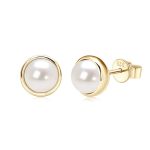 boucle d'oreille tendance argent